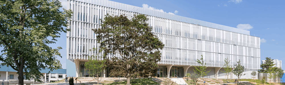 Epilogy - Epidemiology and evaluation of therapeutics in dermatology and immune-mediated inflammatory diseases