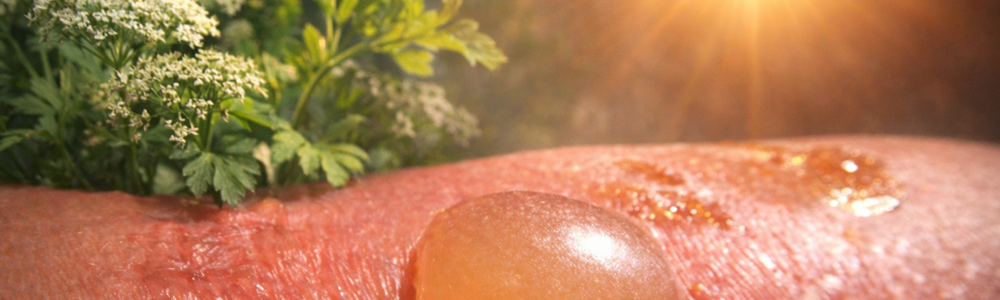 Phytophotodermatitis: An under-recognized diagnostic pitfall in chemical burn